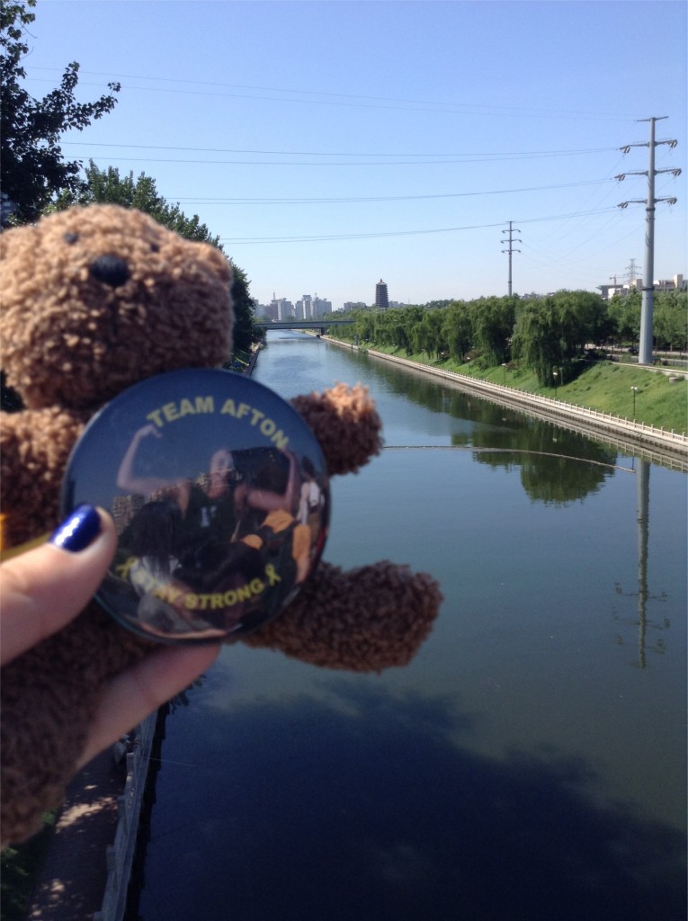 dr. fuzzles arrives safely in beijing